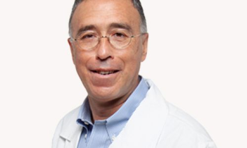 Vito-fazio