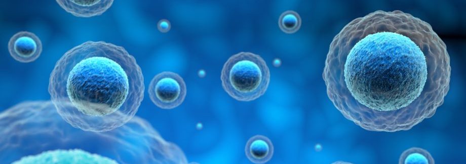 human-cells-in-a-blue-background-3d-illustration-PDXE9Z3-920x425